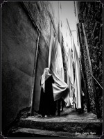 /album/fotogaleria-fotos-b-n/mg-7371-inpixio-640x480-jpg/